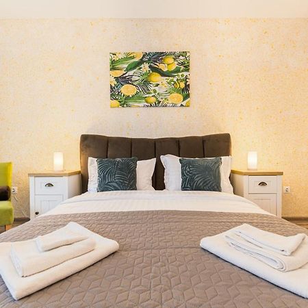 Apartament Topaz 布拉索夫 外观 照片